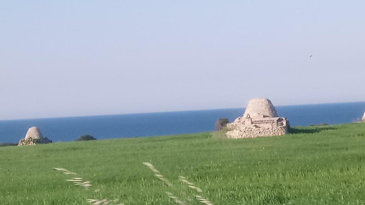 Appartamento Casa Arcobaleno Conversano Esterno foto